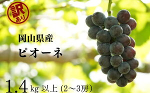 yӂ邳Ɣ[Łz󂠂 j[sI[l@2`3[ v1.4kgȏ Yn ̂ Ԃǂ  R Kawahara Green Farm RY 2025@͂F2025N8{`2025N9{܂