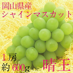 yӂ邳Ɣ[Łz[HS]Ԃǂ 2025N s\ 9E10 VC}XJbg  1[ 600g uhE  RY Y t[c ʕ Mtg@͂F2025N9{`2025N10{