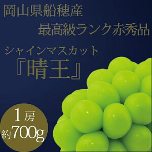 yӂ邳Ɣ[Łz[HS]Ԃǂ 2025N s\ 9E10 ōi VC}XJbg  1[ 700g uhE  RY DY t[c ʕ Mtg@͂F2025N9{`2025N10