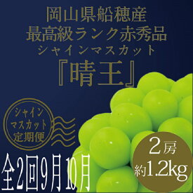 【ふるさと納税】[HS]【定期便 全2回】ぶどう 2025年 先行予約 9月・10月発送 最高級品 シャインマスカット 晴王 2房 合計約1.2kg ブドウ 葡萄 岡山県産 国産 フルーツ 果物 ギフト　お届け：2026年9月上旬～2026年10月下旬