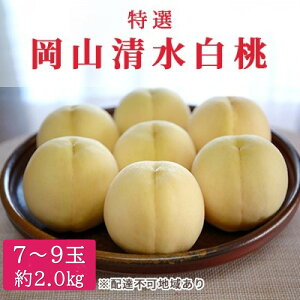 yӂ邳Ɣ[Łz 2026N s\ I R 7`9 2kg   RY Y t[c ʕ Mtg@͂F2026N7{`2026N7{