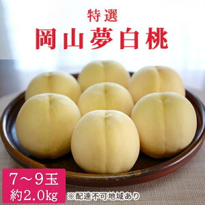 yӂ邳Ɣ[Łz 2026N s\ I ܖ 7`9 2kg   RY Y t[c ʕ Mtg@͂F2026N8{`2026N8{