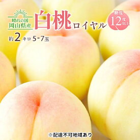 【ふるさと納税】桃 2026年 先行予約 岡山 白桃 ロイヤル 約2kg 5～7玉入り もも モモ 岡山県産 国産 フルーツ 果物 ギフト 橋田商店　お届け：2026年7月上旬～2026年8月上旬