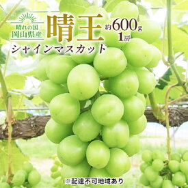 【ふるさと納税】ぶどう 2025年 先行予約 シャイン マスカット 晴王 1房 約600g 大粒 種無し ブドウ 葡萄 岡山県産 国産 フルーツ 果物 ギフト 橋田商店　お届け：2025年9月中旬～2025年11月上旬