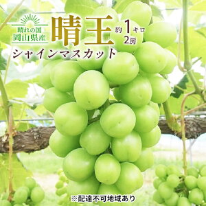 yӂ邳Ɣ[ŁzԂǂ 2025N s\ VC }XJbg  2[ v1kg 嗱 햳 uhE  RY Y t[c ʕ Mtg cX@͂F2025N9{`2025N11