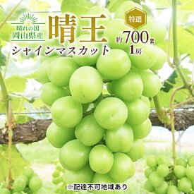 【ふるさと納税】ぶどう 2025年 先行予約 シャイン マスカット 晴王 特選 1房 約700g 大粒 種無し ブドウ 葡萄 岡山県産 国産 フルーツ 果物 ギフト 橋田商店　お届け：2025年9月中旬～2025年11月上旬