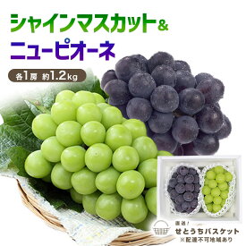 【ふるさと納税】ぶどう 2026年 先行予約 シャインマスカット ＆ ニューピオーネ 各1房 約1.2kg ブドウ 葡萄 岡山県産 国産 フルーツ 果物 直送！せとうちバスケット　お届け：2026年9月中旬～2026年9月末頃