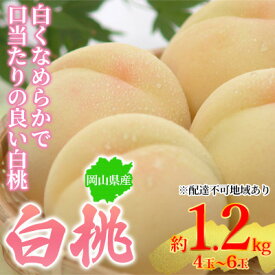 【ふるさと納税】桃 2026年先行予約 岡山県産 白桃 約1.2kg 4～6玉 お届け 7月上旬～7月下旬　お届け：2026年7月上旬～2026年7月下旬