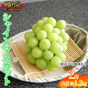 yӂ邳Ɣ[ŁzԂǂ 2025Ns\ VC}XJbg 2[ 1.2kg RY ͂ 9{`10{@͂F2025N9{`2025N10{