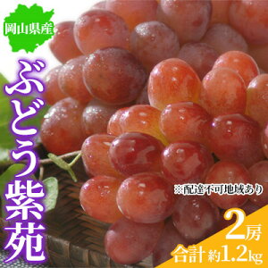 yӂ邳Ɣ[ŁzԂǂ 2025Ns\  2[ 1.2kg RY ͂ 11{`11{@͂F2025N11{`2025N11{