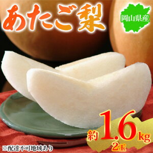 yӂ邳Ɣ[Łz 2025Ns\ RY  1.6kg 2 ͂ 11{`12{@͂F2025N11{`2025N12{
