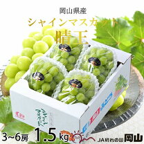 楽天市場】シャインマスカット 5kgの通販