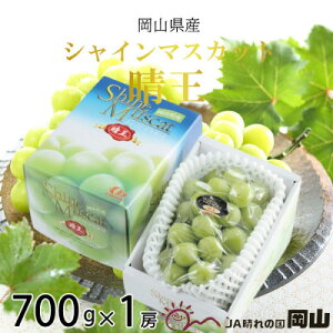 yӂ邳Ɣ[Łzy2025N8{蔭zRY VC}XJbg  700g×1[ Ԃǂ  uhE t[c ʕ@͂F2025N820`2025N1130