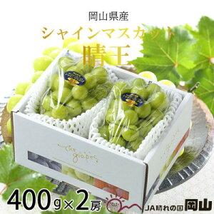 yӂ邳Ɣ[Łzy2025N8{蔭zRY VC}XJbg  400g×2[ Ԃǂ  uhE t[c ʕ@͂F2025N820`2025N1130