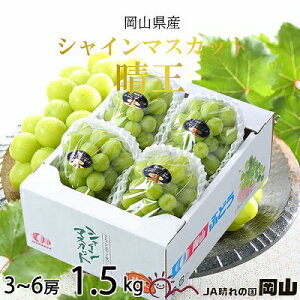 yӂ邳Ɣ[Łzy2025N8{蔭zRY VC}XJbg  1.5kg(3[`6[) Ԃǂ  uhE t[c ʕ@͂F2025N820`2025N1130