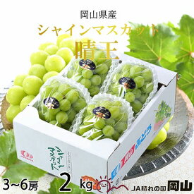 【ふるさと納税】【2026年8月下旬より発送】岡山県産 シャインマスカット 晴王 2kg(3房～6房) ぶどう 葡萄 ブドウ フルーツ 果物　お届け：2026年8月20日～2026年11月30日