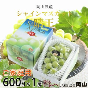 yӂ邳Ɣ[Łzy2025N8{蔭zƒp RY VC}XJbg  600g×1[ Ԃǂ  uhE t[c ʕ@͂F2025N820`2025N1130
