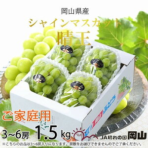 yӂ邳Ɣ[Łzy2025N8{蔭zƒp RY VC}XJbg  1.5kg(3`6[) Ԃǂ  uhE t[c ʕ@͂F2025N820`2025N1130