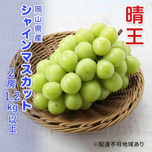 yӂ邳Ɣ[ŁzԂǂ s\ VC}XJbg  2[ v1.2kgȏ uhE  RY Y t[c ʕ Mtg@͂F2025N9{`2025N12{