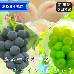 yӂ邳Ɣ[Łzy2026Nstz  j[sI[l VC}XJbg  5     Ԃǂ  uhE RY@䒆 Mtg  v[g  j 䋟 