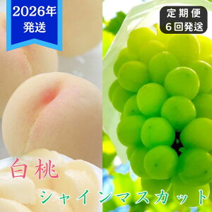 yӂ邳Ɣ[Łzy2026Nstz  VC}XJbg  6   Ԃǂ RY 䒆 Mtg  v[g  j 䋟 ʕ  t[c    u