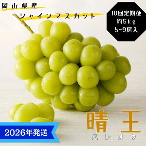 yӂ邳Ɣ[Łzy2026Nstz VC}XJbg  10  Gi [ RY Ԃǂ Mtg  v[g  j 䋟 ʕ  t[c@͂F2026N7{