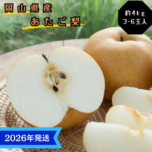 yӂ邳Ɣ[Łzy2026Nstz   Gi 4kg(3`6) RY {傫ȗ Ȃ iV Ε Mtg  v[g  j 䋟 ʕ  t[c@͂F2026