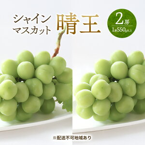 yӂ邳Ɣ[ŁzԂǂ 2026N s\ VC }XJbg  2[ i1[550gȏj }XJbg uhE  RY Y t[c ʕ Mtg Ύ@͂F2026N6{`2026N8