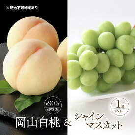 【ふるさと納税】桃 ぶどう 2026年 先行予約 白桃 3玉 合計約900g （1玉約300g） シャインマスカット 晴王 1房 550g以上 もも 葡萄 詰合せ 岡山 国産 フルーツ 果物 ギフト 桃茂実苑　お届け：2026年6月中旬～2026年8月中旬