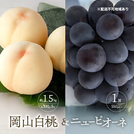 【ふるさと納税】桃 ぶどう 2026年 先行予約 清水 白桃 5玉 約1.5kg 1玉約300g ニュー ピオーネ 1房 550g以上もも 葡萄 詰合せ 岡山 国産 フルーツ 果物 ギフト 桃茂実苑　お届け：2026年7月中旬～2026年8月上旬