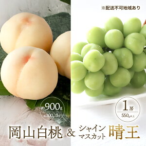 yӂ邳Ɣ[Łz Ԃǂ 2026N s\   3ʍv 900g i1ʖ300gj VC}XJbg  1[ 550gȏ  l R Y t[c ʕ Mtg Ύ@͂F2