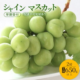 【ふるさと納税】ぶどう 早期受付 シャイン マスカット 2房（1房650g以上） ブドウ 葡萄 岡山県産 国産 フルーツ 果物 ギフト 桃茂実苑　お届け：2026年10月下旬～2027年1月下旬