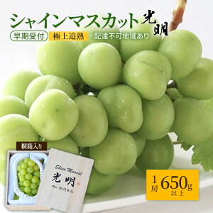 �y�ӂ邳�Ɣ[�Łz�Ԃǂ� ������t �ɏ�Ǐn �V���C�� �}�X�J�b�g 1�[ 650g�ȏ� �u�����v�˔����� �u�h�E ���� ���R���Y ���Y �t���[�c �ʕ� �M�t�g ���Ύ����@���͂��F2026�N10�����{�`2026�N12