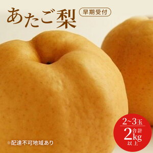 �y�ӂ邳�Ɣ[�Łz�� ������t ���R �� ������ �� 2�`3�ʁi2kg�ȏ�j ���v2kg�ȏ� �Ȃ� �i�V ���R���Y ���Y �t���[�c �ʕ� �M�t�g���Ύ��� �������� ���x12.5�x�ȏ� 2�L���@���͂��F2026�N12�����{