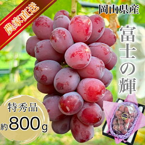 �y�ӂ邳�Ɣ[�Łz�Ԃǂ� 2026�N ��s�\�� �b��̕i�� �x�m�̋P 1�[�l�� ���G�����N 800g�ȏ� ���G ���� ���R���Y ���Y �t���[�c �ʕ� �M�t�g �y Nini farm �_�� ���� �z�@���͂��F2026�N8��25���`2026