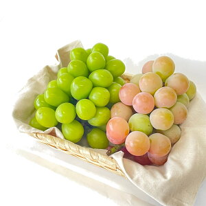 【ふるさと納税】 【先行予約】 シャインマスカット・クイーンニーナ詰め合わせ《9月上旬-9月中旬頃出荷》 露地栽培 数量限定 先行予約 シャイン マスカット 岡山 岡山県産 果物 フルーツ