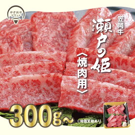 【ふるさと納税】A-09 瀬戸の姫（焼肉用）牛肉 焼肉 さし BBQ