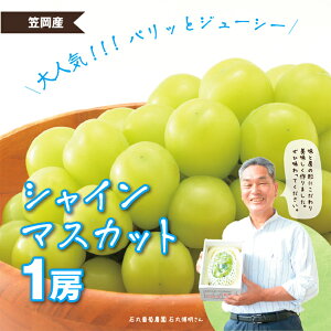 yӂ邳Ɣ[Łzys\z VC}XJbg }XJbg 1[s2026N9{-9{oׁt RY ʌ R }s Ίە_ VC }XJbg Ԃǂ  ʕ t