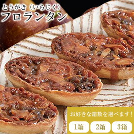 【ふるさと納税】かさおか産 とうがきフロランタン 選べる内容量 1箱 2箱 3箱 藤屋菓子舗 《45日以内に出荷予定(土日祝除く)》お菓子 焼き菓子 フロランタン スイーツ お土産 手作り おすすめ デザート おやつ いちじく アーモンド キャラメル ギフト 贈答 岡山県 笠岡市