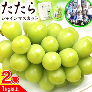 yӂ邳Ɣ[Łzys\z}XJbg VC}XJbg R s\ ʌ RY }s 1kgȏ ݂˂ 2[@2026N8{-10{oח\ Â 햳 