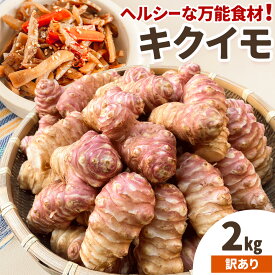 【ふるさと納税】キクイモ 約2kg 訳あり 《2026年11月上旬-2027年3月下旬頃出荷》イモ 野菜 いも 味噌汁 甘酢漬け ポテト チップス ヘルシー 保存食 岡山県 笠岡市 お取り寄せ 送料無料 オルタッリャ ortaglia【配送不可地域あり】