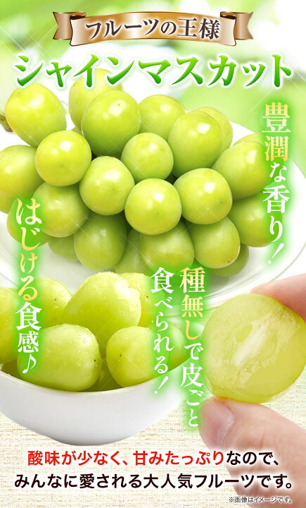 楽天市場】【ふるさと納税】【先行予約】 マスカット シャイン 