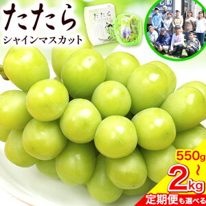 yӂ邳Ɣ[Łzys\z }XJbg VC}XJbg Iׂeʁs2026N8{-10{oח\t݂˂ Mtg x18xȏ t[c 햳 Ԃǂ  Y&GDfB