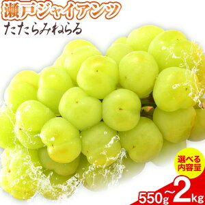 yӂ邳Ɣ[Łzy2025NYs\z݂˂ ˃WCAc Iׂe YG.fBXgr[^[Ёs2025N8{-10{oׁtR }s }XJbg Ԃǂ 