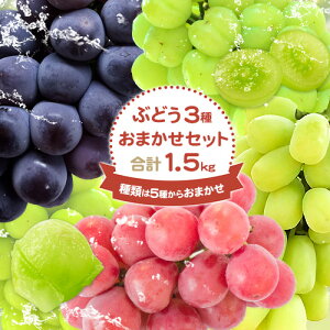 �y�ӂ邳�Ɣ[�Łz�Ԃǂ�3��ނ��܂����Z�b�g ������݂˂��V���C���}�X�J�b�g ������݂˂�鐣�˃W���C�A���c ������݂˂��قق��� �s�I�[�l �N�C�[���j�[�i Y&G�f�B�X�g���r���[�^