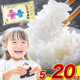 【ふるさと納税】【定期便登場！】選べる内容量と発送時期！ 令和7年産 5kg 〜 20kg ふるさと米 備中笠岡 人気品種をお届け！ 国産 ヒノヒカリ にこまる きぬむすめ お米 ブランド米 おにぎり 弁当 単一原料米 お取り寄せ 送料無料 岡山県産 内容量が選べる