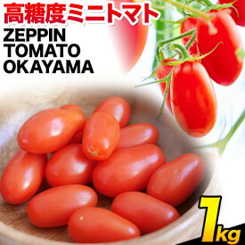 【ふるさと納税】C-39a ZEPPIN TOMATO Okayama 1kg箱（ZEPPIN EX）　平均糖度12度　甘い　フルーツトマト