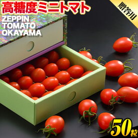 【ふるさと納税】C-36a ZEPPIN TOMATO Okayama 50粒 化粧箱入り（贈答用） 500g　平均糖度12度　甘い　フルーツトマト　贈答