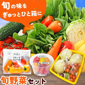 【ふるさと納税】サラ商品とふるさとフレッシュ便 旬野菜セット 野菜 果物 プラムトマト パプリカ 《30日以内に出荷予定(土日祝を除く)》 笠岡アグリセンター 野菜 岡山県 笠岡市
