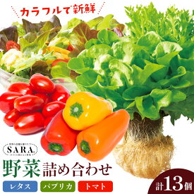 【ふるさと納税】サラ詰め合わせセット 野菜13個 サラトリオ 3個 プラムトマト 5個 フルーツパプリカ 5個 野菜 レタス 3種のレタス トマト パプリカ 《30日以内に出荷予定(土日祝を除く)》 笠岡アグリセンター 野菜 岡山県 笠岡市
